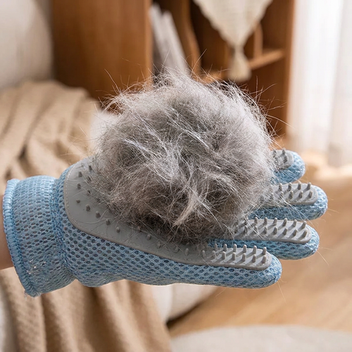 Close-up of glove holding a large ball of collected pet fur